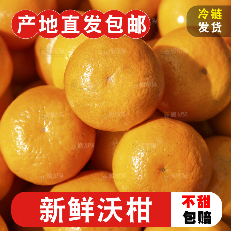 框子里放着武鸣沃柑
