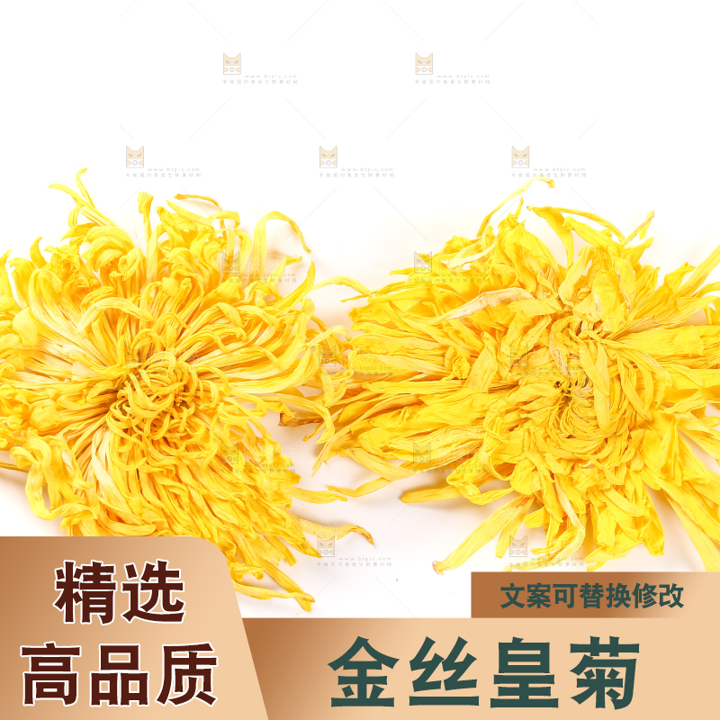 白底上放着贡菊