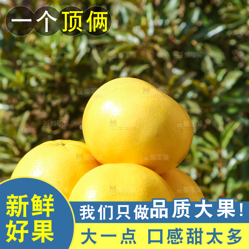 手里捧着黄金葡萄柚