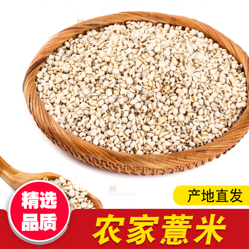 篮子里装着薏米仁