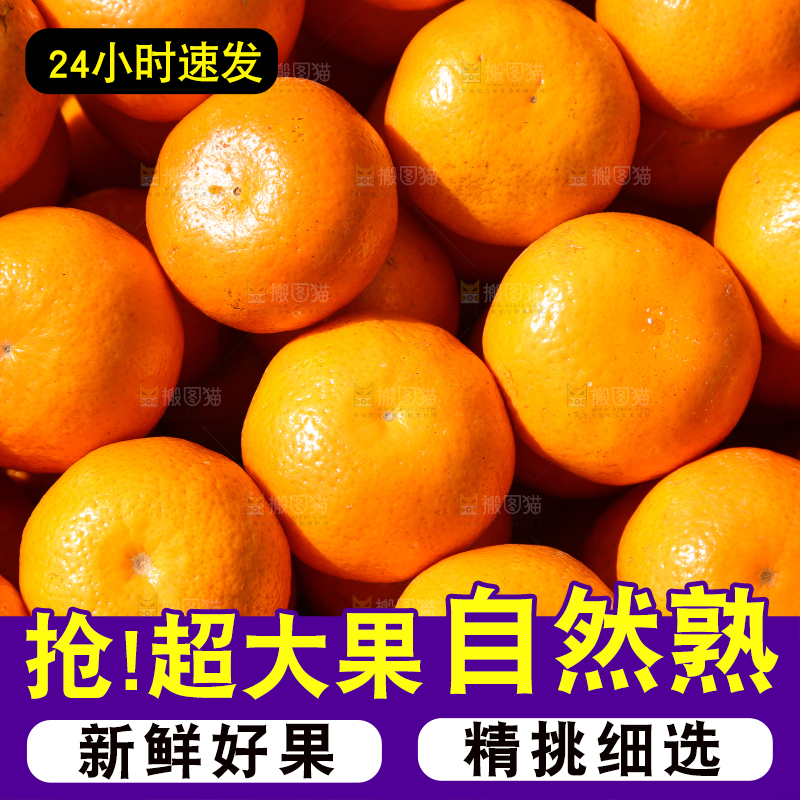 框子里放着武鸣沃柑
