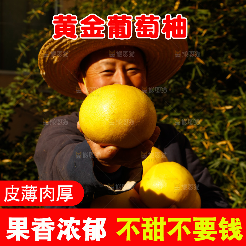 农民手里拿着新鲜葡萄柚