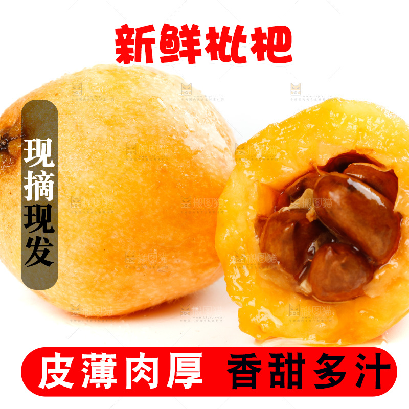 白底上放着米易甜枇杷