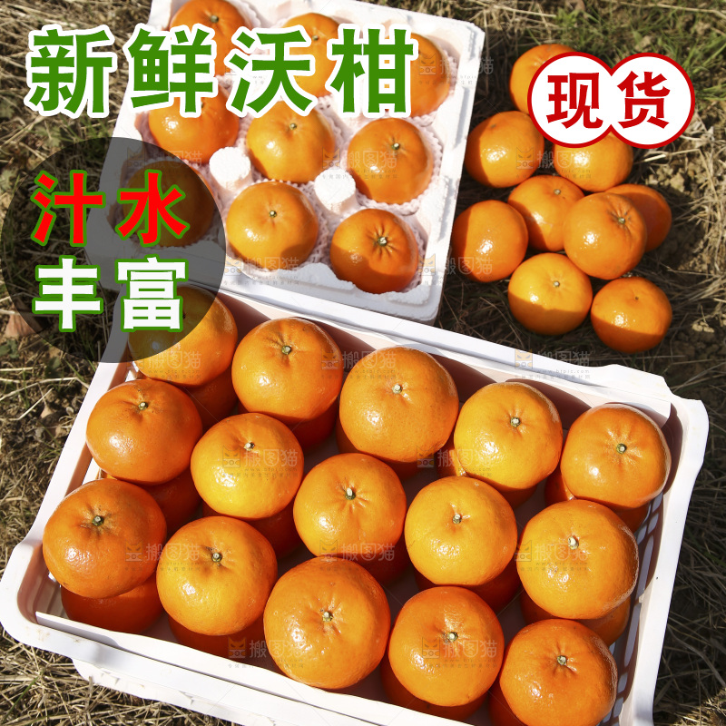 框子里放着武鸣沃柑