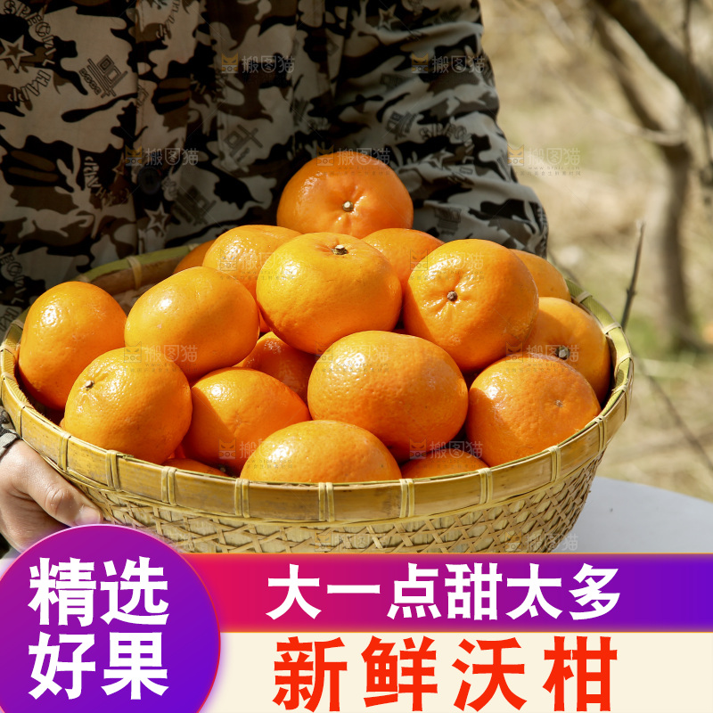 手里端着一篮沃柑
