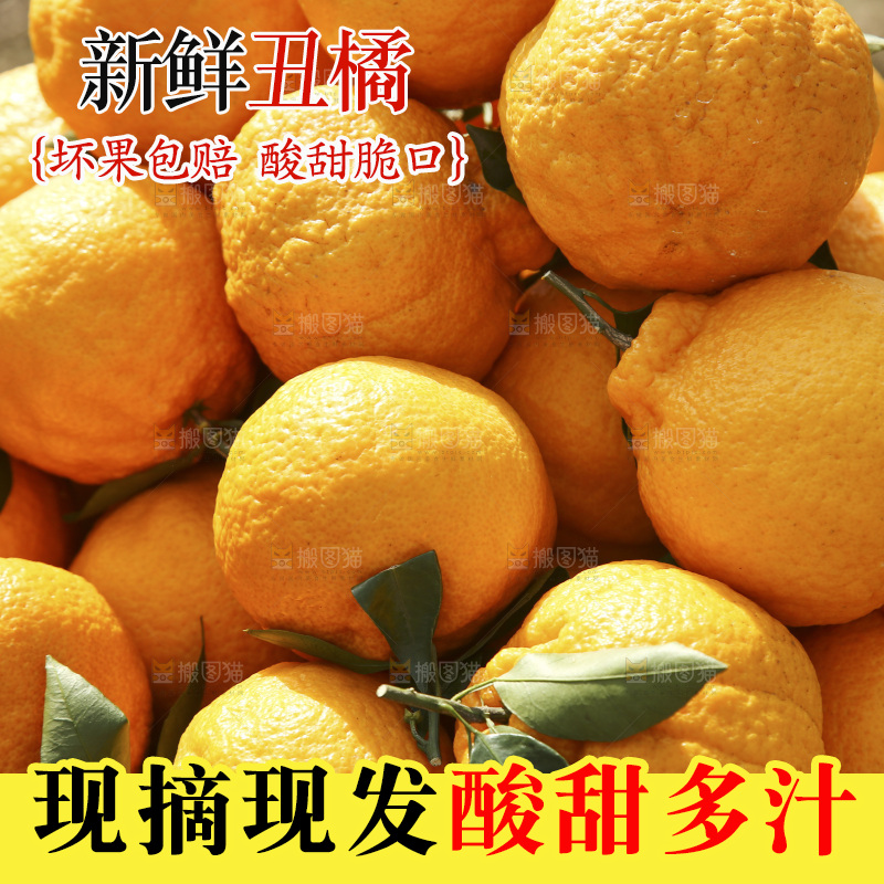 篮子里装着不知火丑橘