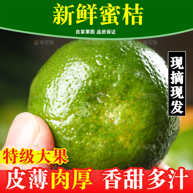 手里拿着清香蜜桔
