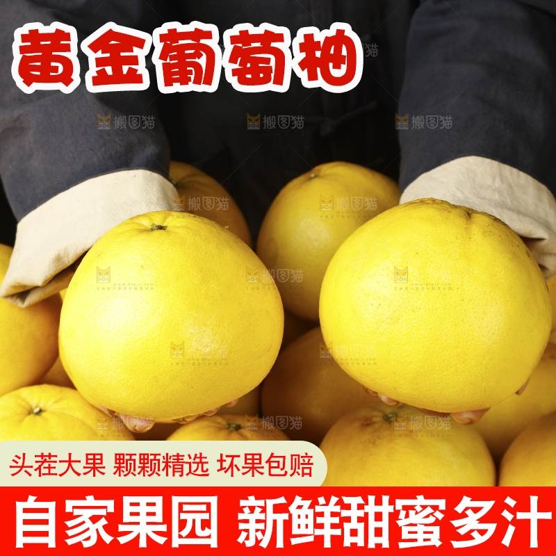 手里拿着葡萄柚