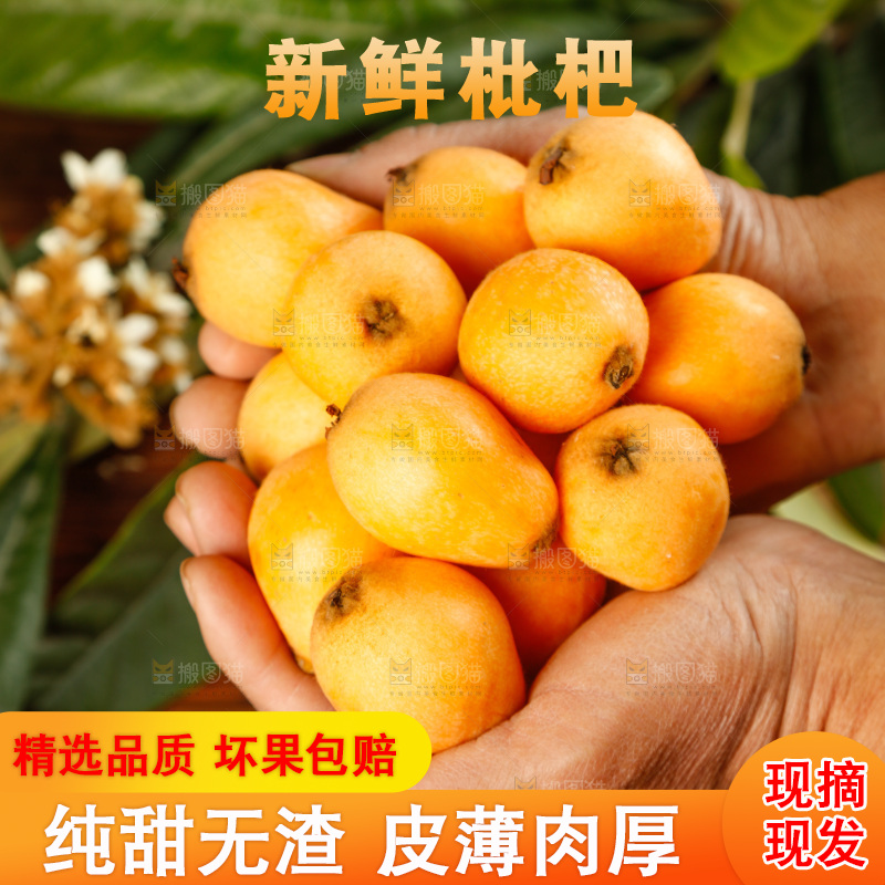 手里捧着枇杷