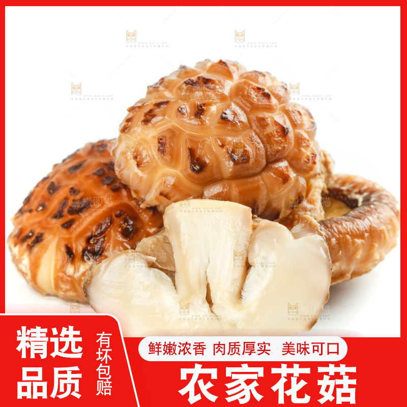 白底上放着花菇