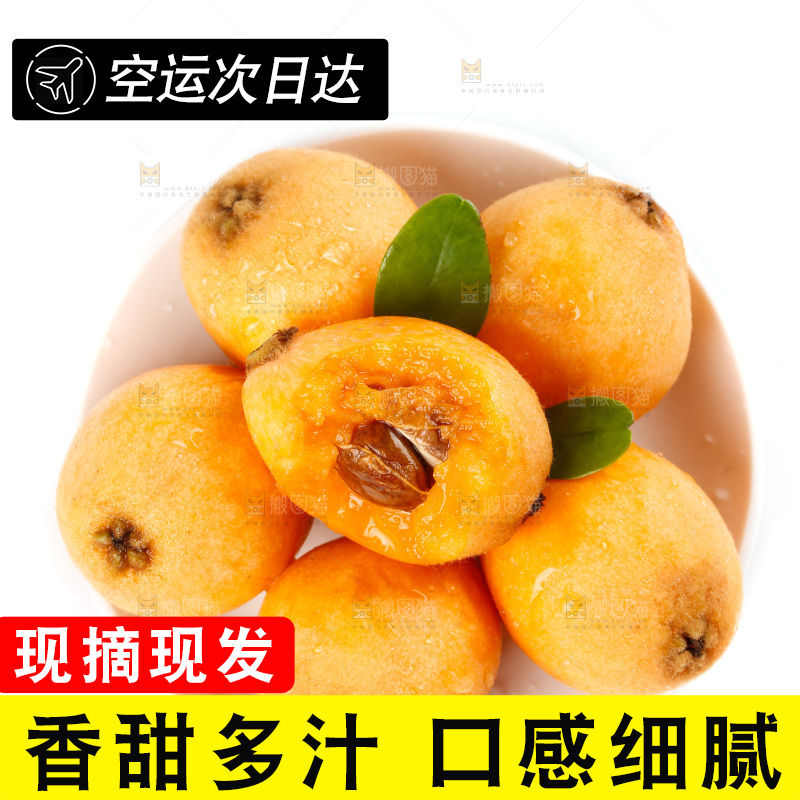 白底上一盘蒙自枇杷