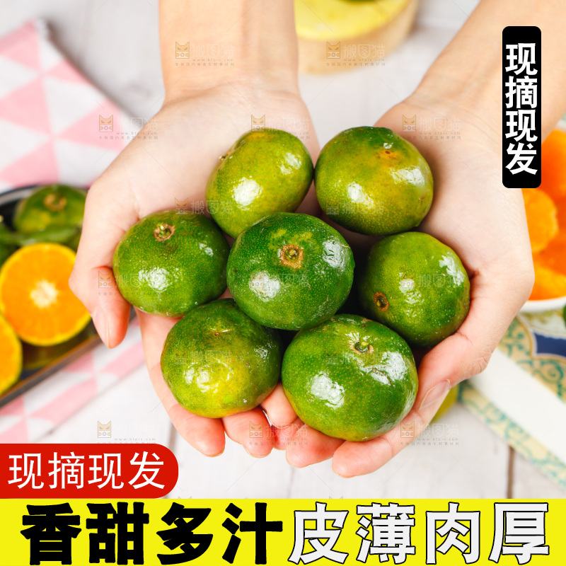 手里捧着清香蜜桔