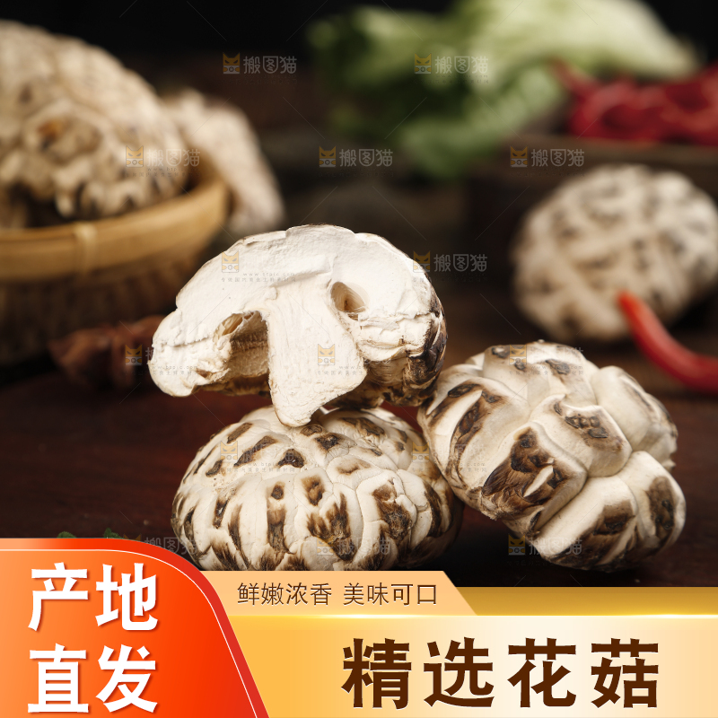 木底上放着东北椴木花菇