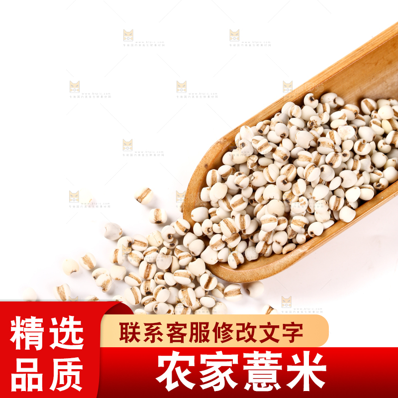 勺子里的贵州薏米