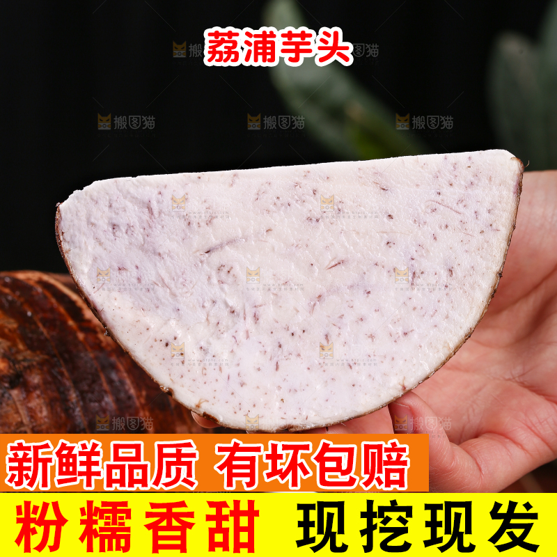 手里拿着切块的芋头