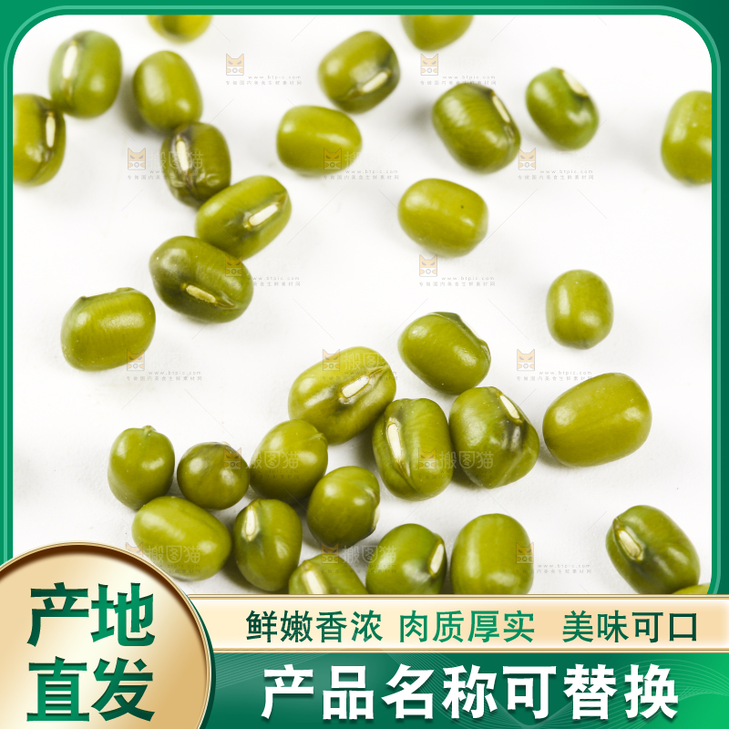 白底上的东北绿小豆