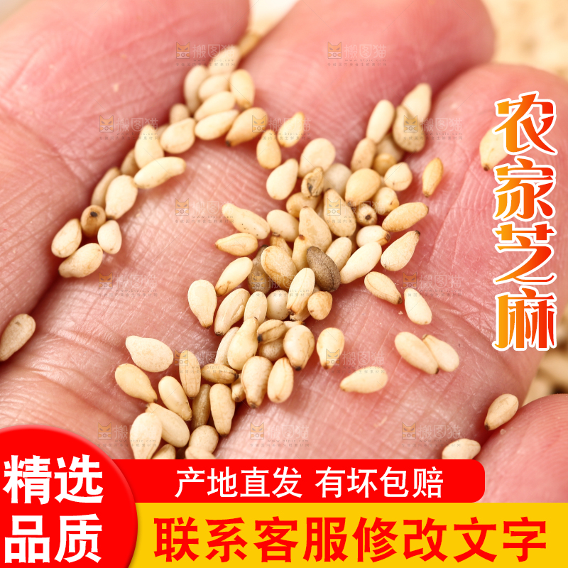 手里拿着白芝麻