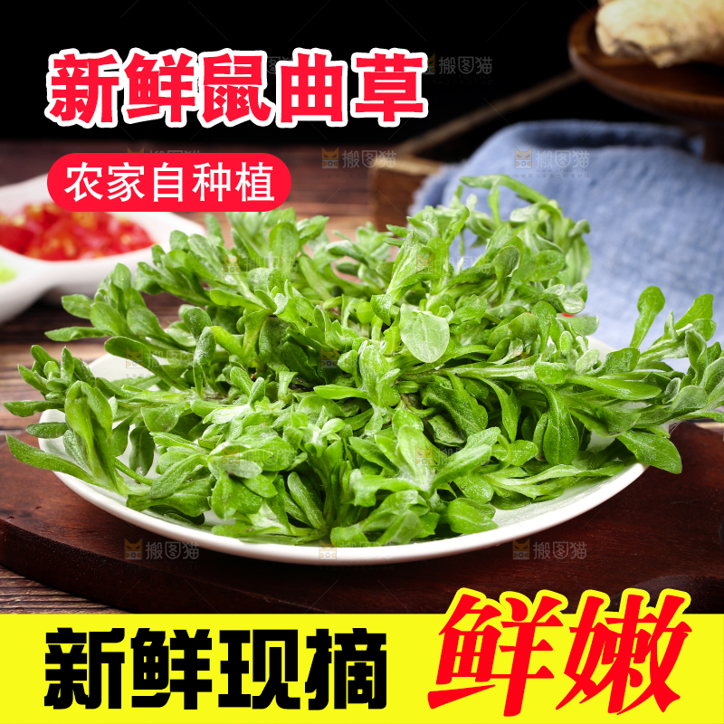 盘子里装着鼠曲草