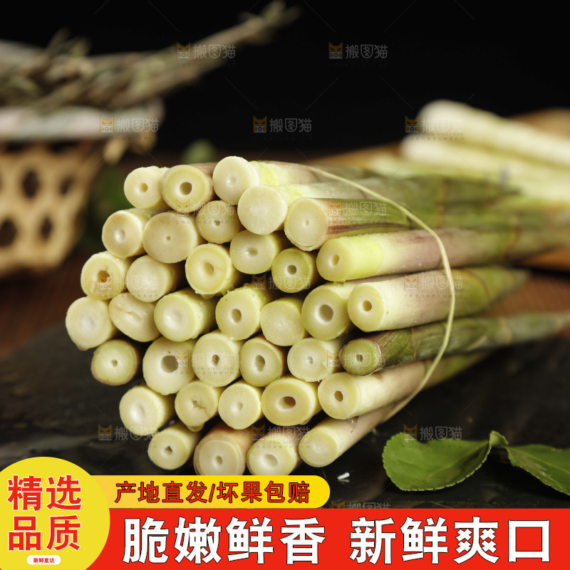黑石板上的小竹笋