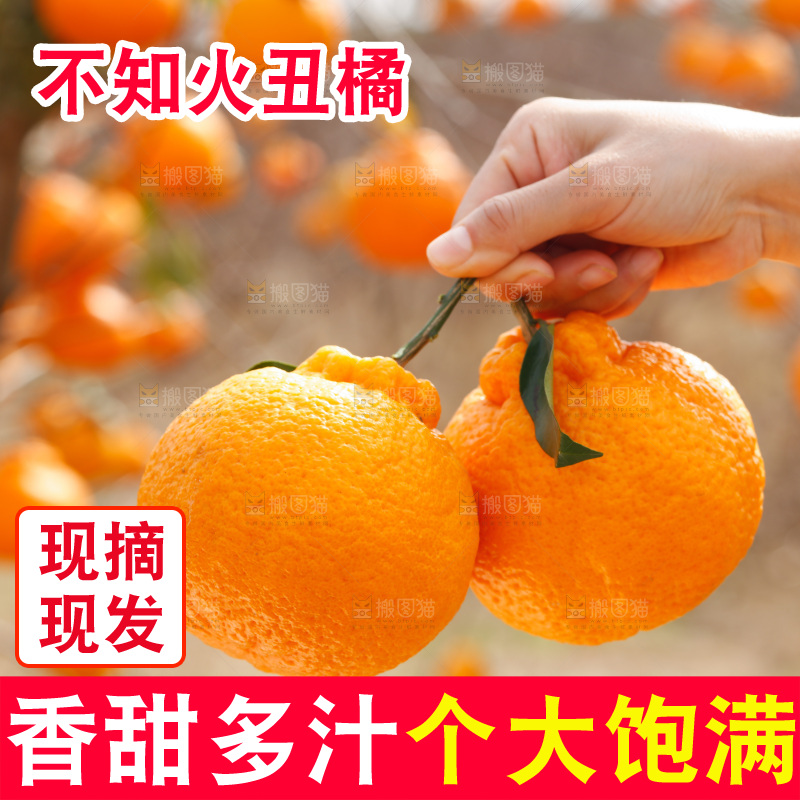 手里拿着丑八怪