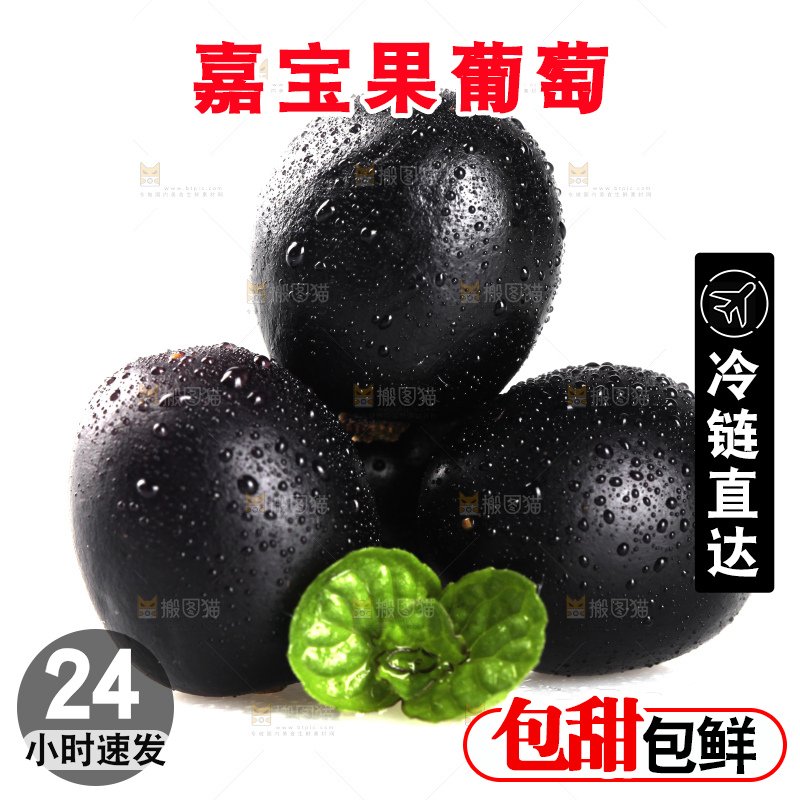 白底上的台湾嘉宝果