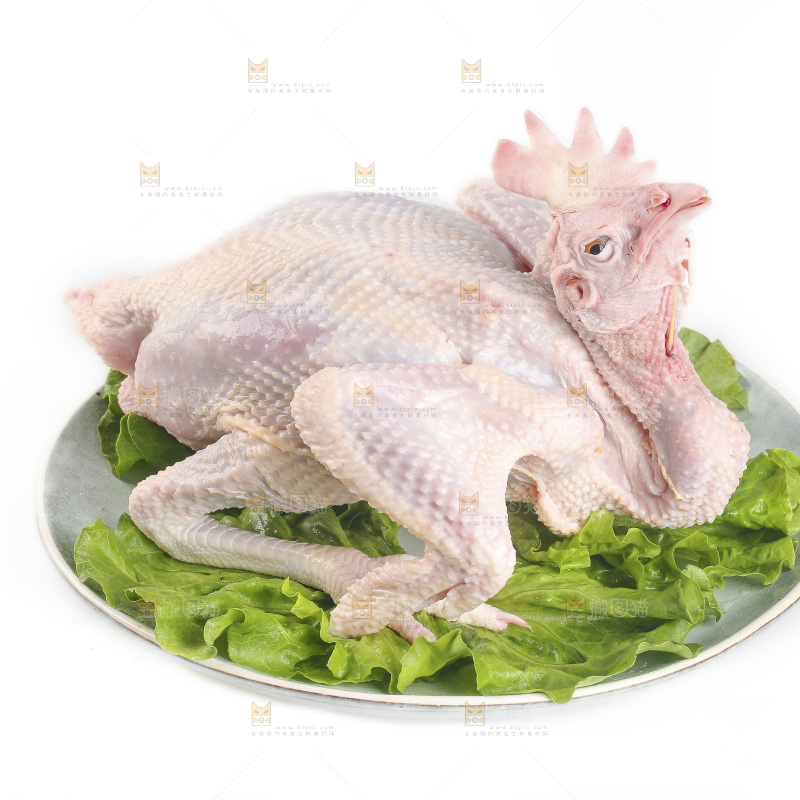 白底上的生鲜鸡肉