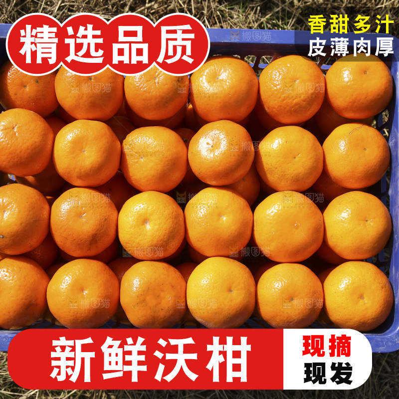 地上放着一框沃柑