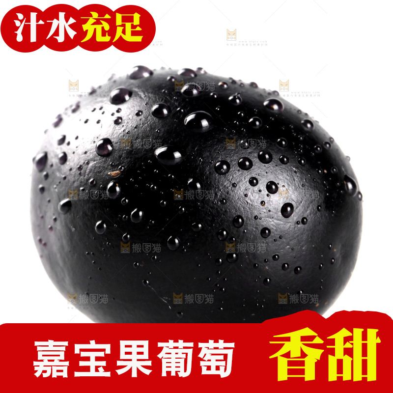 白底上的嘉宝果