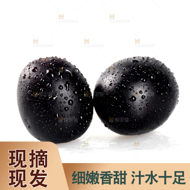 白底上的台湾嘉宝果