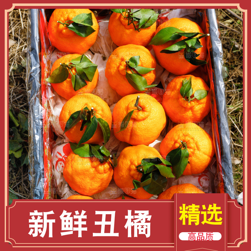 草地上放着一框四川丑橘