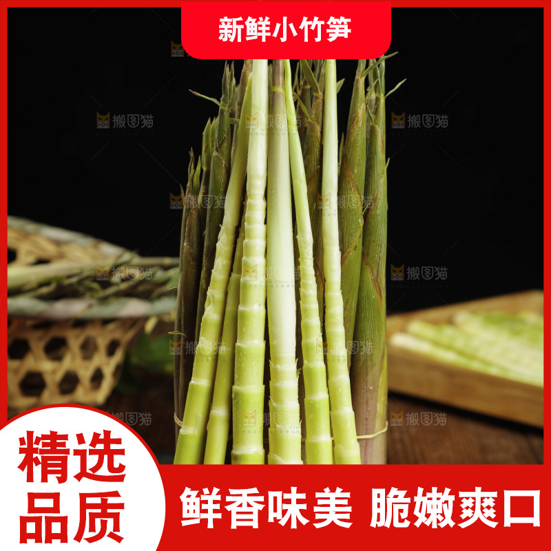 黑石板上的小竹笋