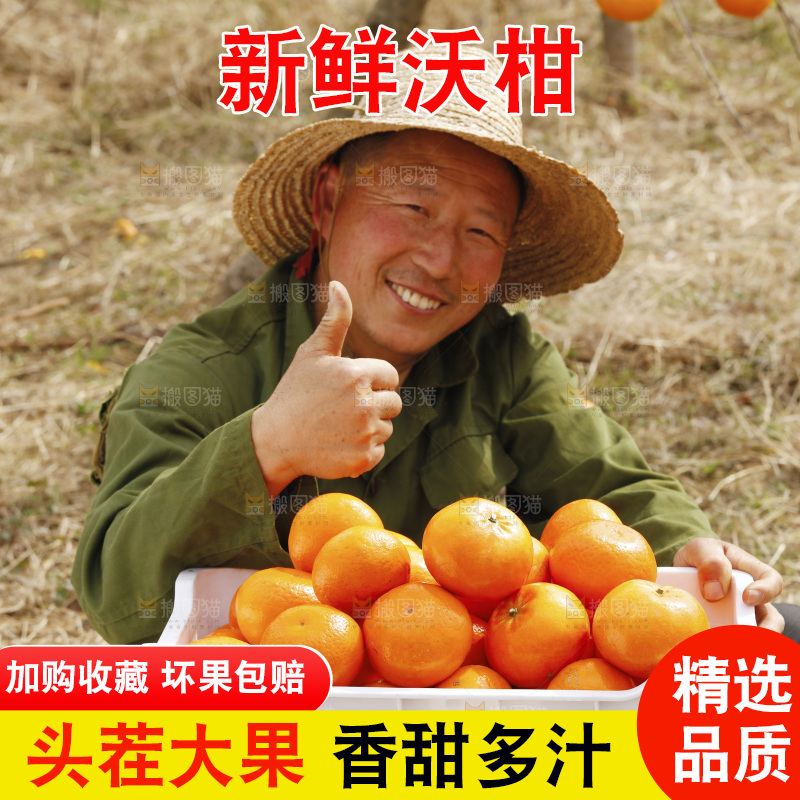 果园农民边上放着一框沃柑