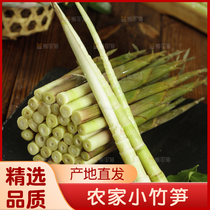 黑石板上的小竹笋
