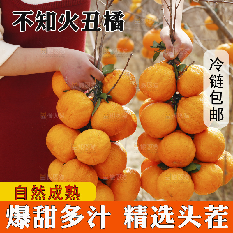 手里拿着两串丑橘