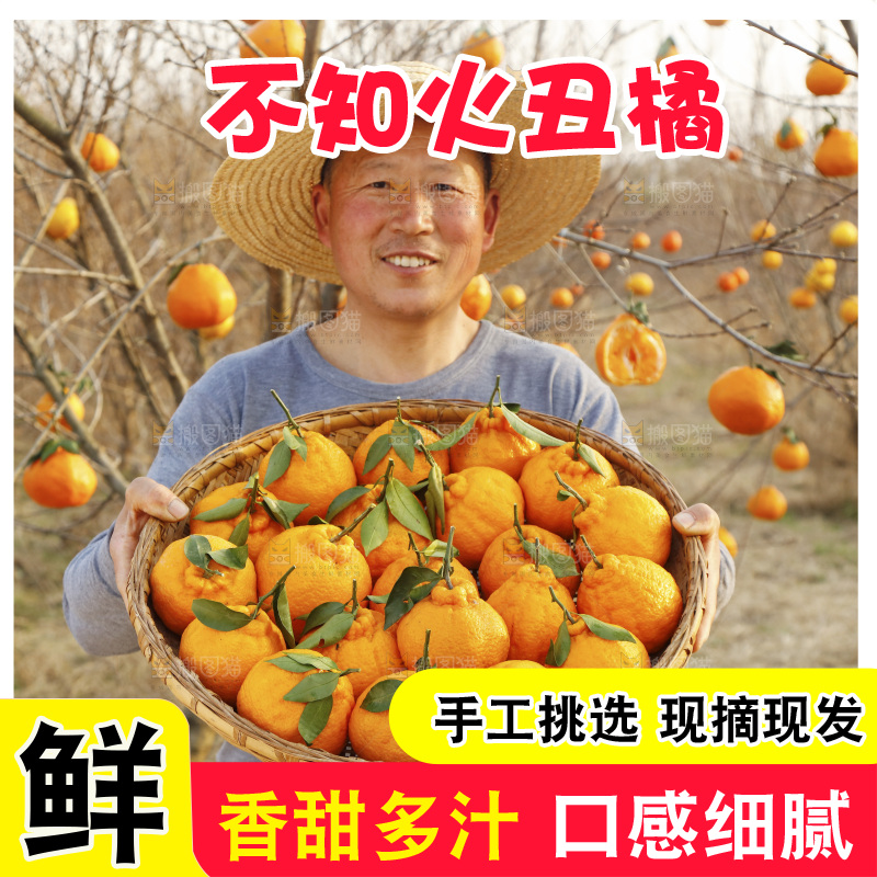 农民手里抱着一篮子不知火丑橘