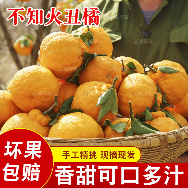 手里端着一篮新鲜丑橘