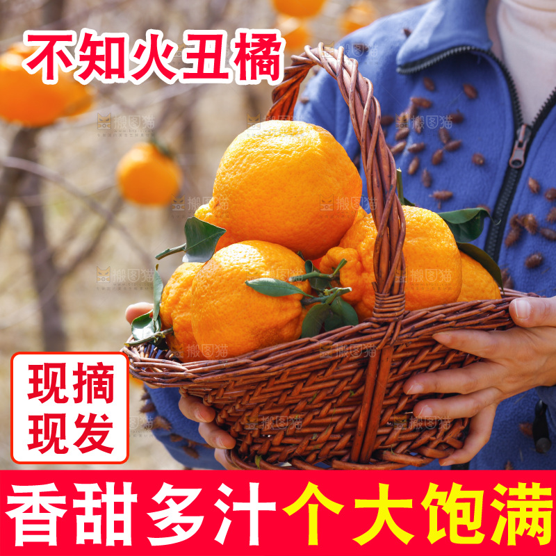 手里端着一篮不知火丑橘
