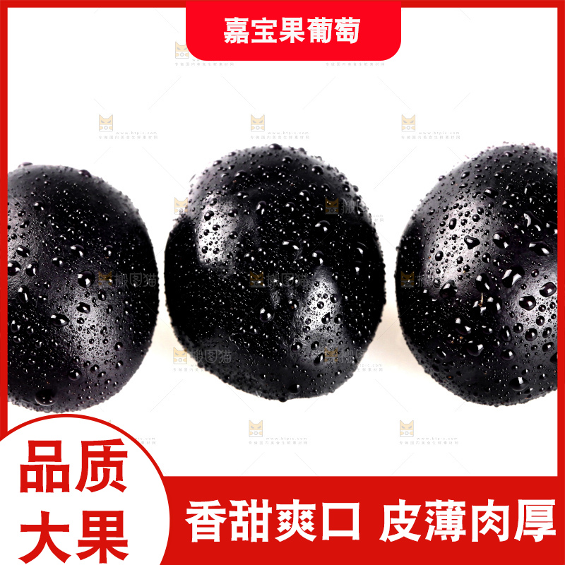 白底上的台湾嘉宝果
