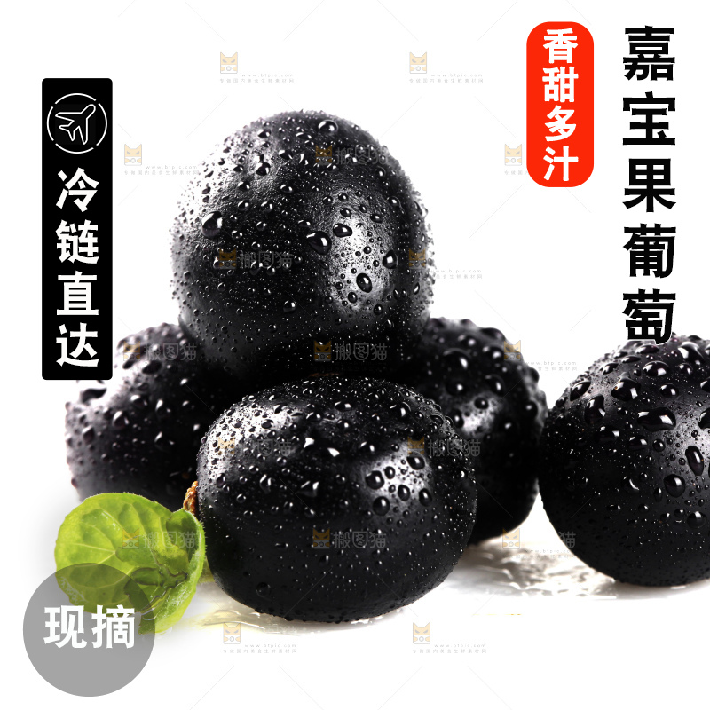 白底上的台湾嘉宝果