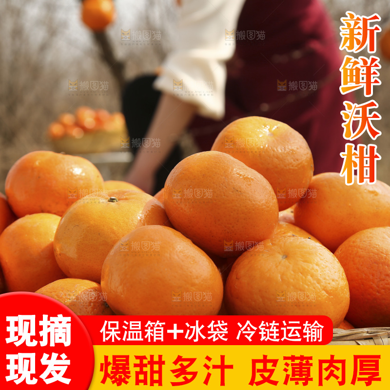 篮子里装着新鲜沃柑