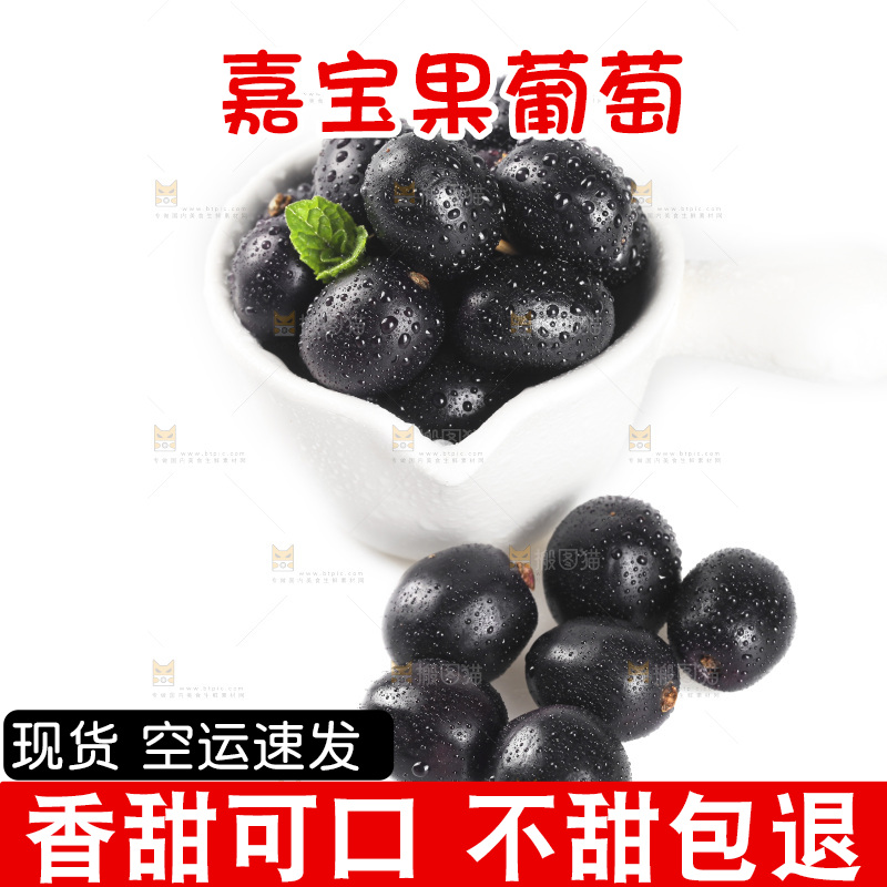 白底上放着一碟嘉宝果