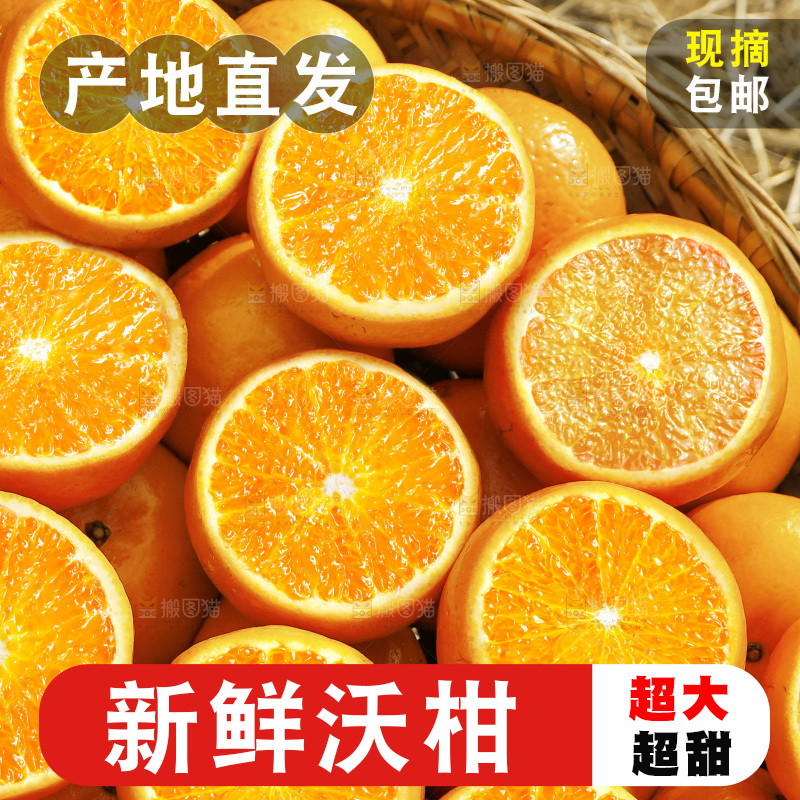 篮子里装着沃柑果肉