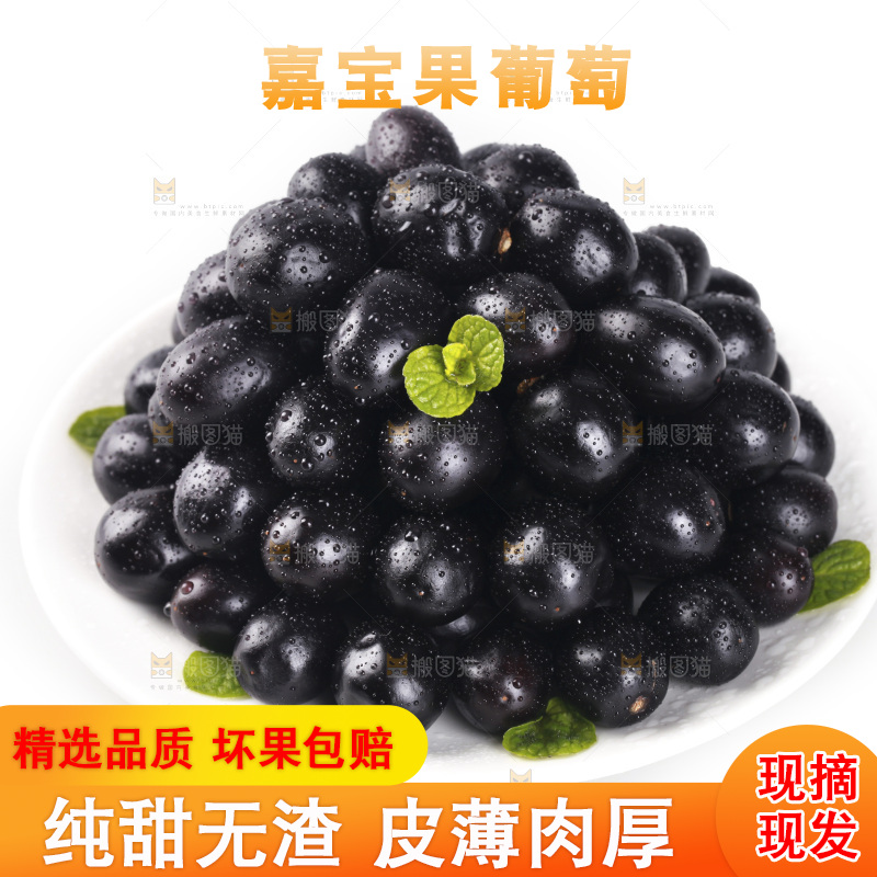 白底上放着一盘嘉宝果