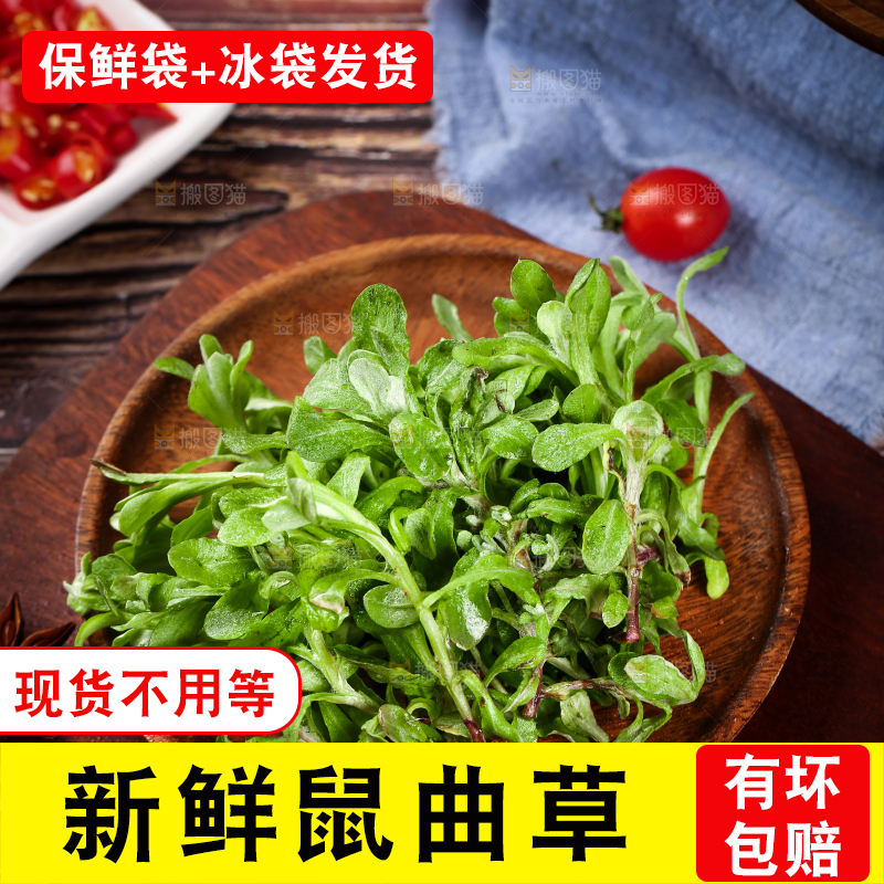 盘子里装着鼠曲草