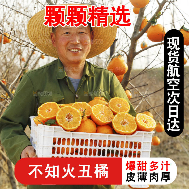 果雷锋农民手里抱着一框四川丑橘