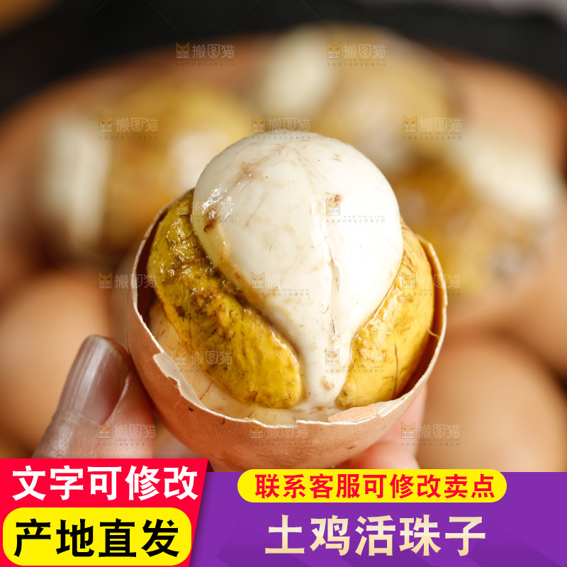 手里拿着活珠子