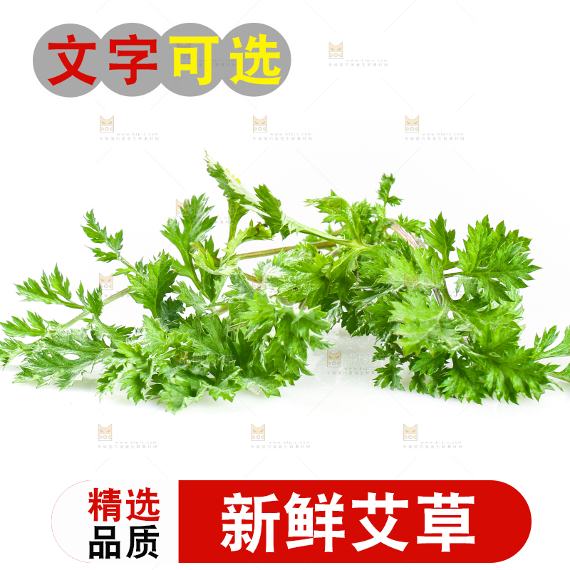 白底上的艾蒿草