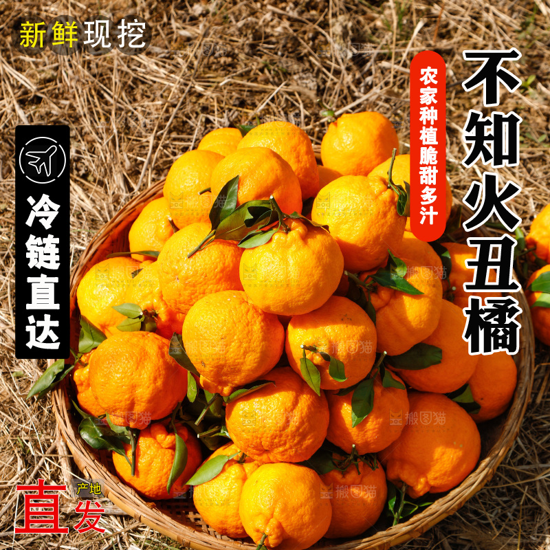 草地上放着一篮不知火丑橘