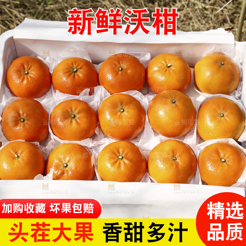 框子里放着武鸣沃柑