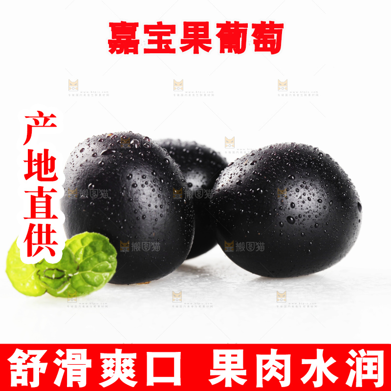 白底上的台湾嘉宝果